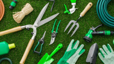 Photo of MONITEUR.TRICE D’ATELIER ESPACES VERTS